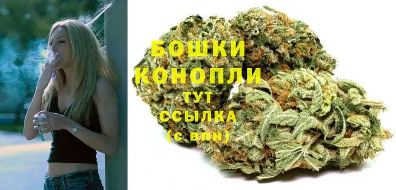 darknet телеграм  купить   Богородицк  Бошки марихуана сатива 